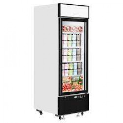 Interlevin LGF2500 Single Door