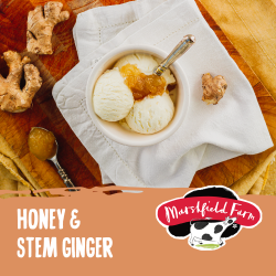 Marshfield Honey & Stem Ginger