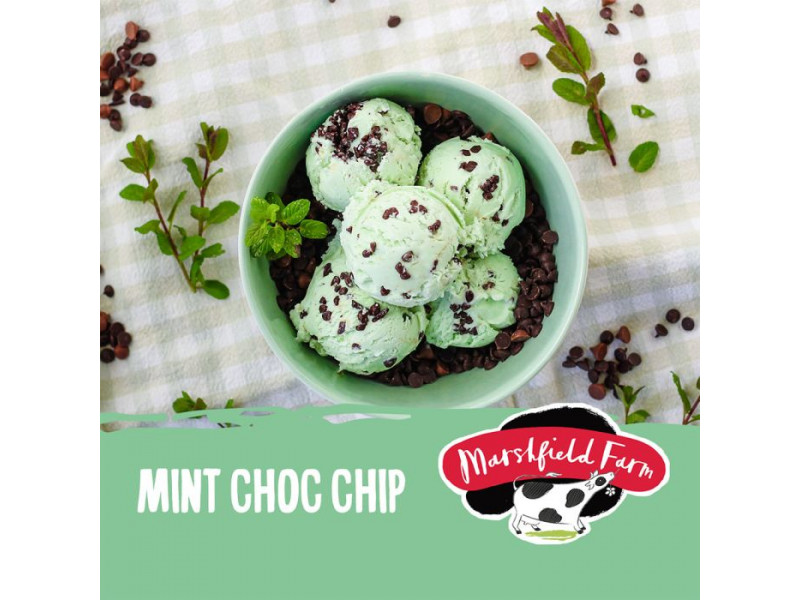 Marshfield Mint Choc Chip