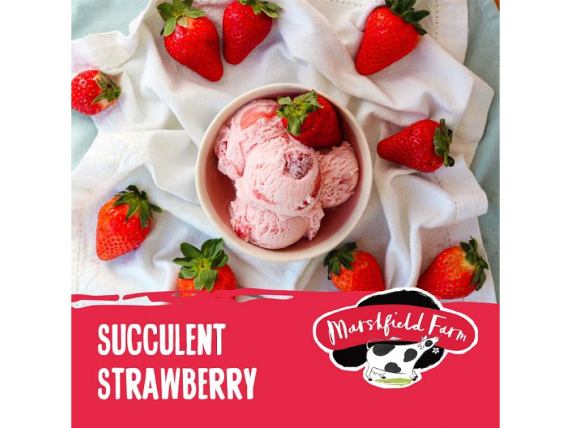 Marshfield Succulent Strawberry
