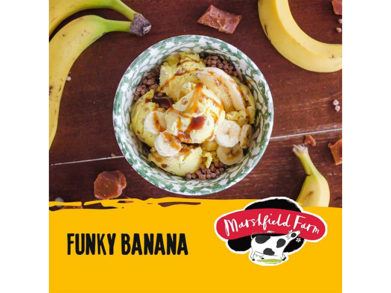 Marshfield Funky Banana