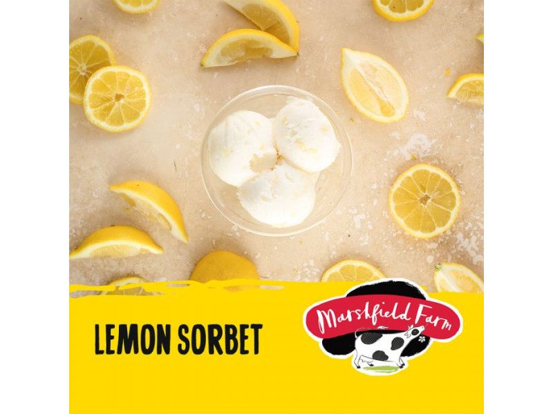 Marshfield Lemon Sorbet