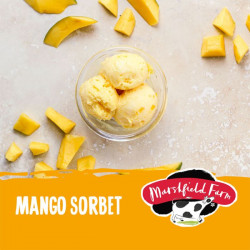 Marshfield Mango Sorbet