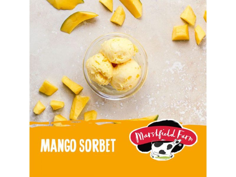 Marshfield Mango Sorbet