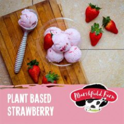 Marshfield Plant Based Strawberry