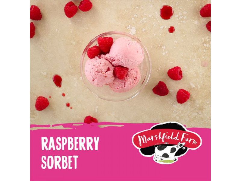 Marshfield Raspberry Sorbet