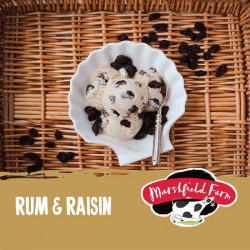 Marshfield Rum & Raisin (ABV 0.5%)