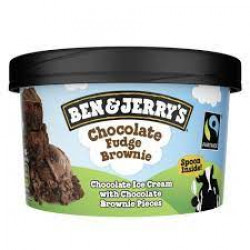 Ben & Jerry's Chocolate Fudge Brownie (100ml Tub)