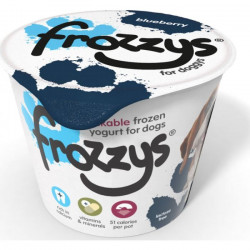Frozzy Blueberry Frozen Yogurt